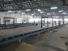 Belt Conveyor for Bag Handling