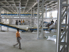 Belt Conveyor for Bag Handling